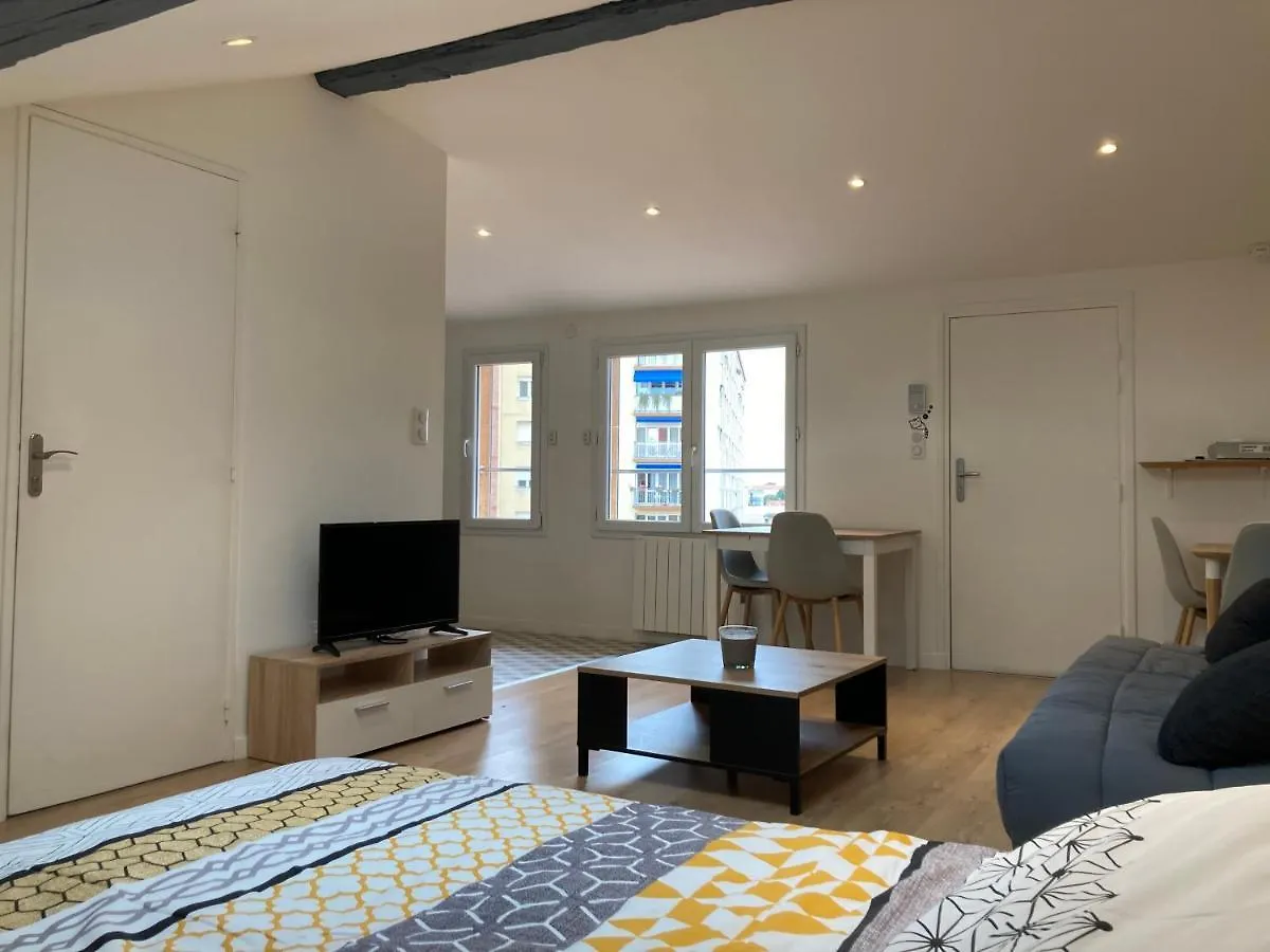 Nid Douillet Calme En Rue Pietonne ! Apartment Roanne